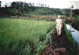 Lịch sử hình thành và “cha đẻ” của Phương pháp Canh tác lúa cải tiến SRI