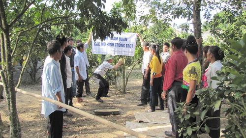 Cán bộ khuyến nông hướng dẫn bà con xã Thanh Chăn (xã điểm xây dựng NTM) kỹ thuật chăm sóc, tạo tán, bón phân, và phòng trừ sâu bệnh cho cây bưởi