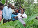 Thay đổi cách nghĩ về hoạt động khuyến nông: Phương pháp người tập huấn là nông dân tình nguyện