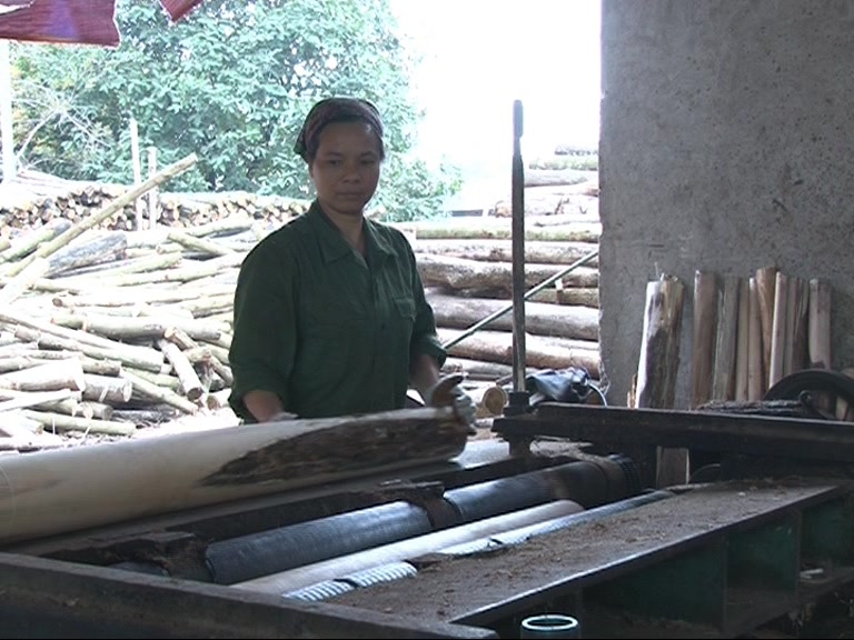 Phú Thọ: Người phụ nữ làm giàu từ mô hình xưởng bóc ván