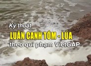 Kỹ thuật luân canh tôm - lúa theo quy phạm VietGAP - Phần 1