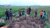 Hòa Bình: Lớp dạy nghề ủ phân vi sinh cho lao động nông thôn 