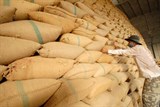 Giá gạo châu Á giảm dù Trung Quốc đang mua, hy vọng vào nhu cầu của Philippines