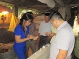 Thái Nguyên: Bế giảng lớp đào tạo nghề  nuôi và phòng trị bệnh cho gà
