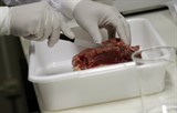 Nhiều nước ngừng nhập khẩu thịt của Brazil