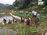 Lào Cai: Kiểm tra công tác đào tạo nghề nông nghiệp cho lao động nông thôn trên địa bàn tỉnh năm 2017