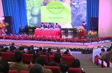 Lâm Đồng: Kết quả 10 năm thực hiện chương trình mục tiêu quốc gia xây dựng nông thôn mới