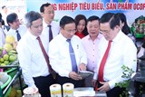 Hội nghị Tổng kết 10 năm xây dựng nông thôn mới Hà Tĩnh
