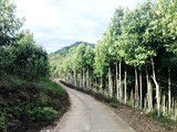 52 xã của tỉnh Lào Cai hoàn thành nông thôn mới
