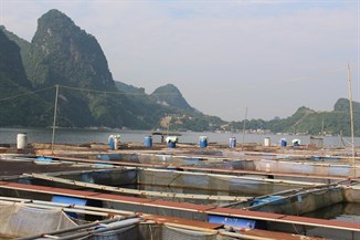 Phát triển nuôi thủy sản lòng hồ hướng tới sản phẩm OCOP