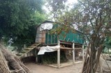 Quảng Trị: Xây chuồng trại để chăn nuôi tránh lũ