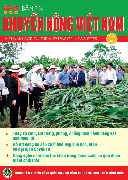 Bản tin Khuyến nông Việt Nam số 6/2020