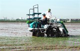 Ninh Bình: Những lưu ý khi đẩy mạnh cấy lúa bằng máy