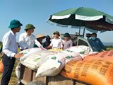Hà Tĩnh: Hiệu quả “kép” từ mô hình sản xuất lúa hữu cơ trên ruộng rươi, cáy