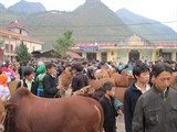  Mèo Vạc phấn đấu đến năm 2025 trở thành vùng chăn nuôi  gia súc lớn nhất tỉnh Hà Giang