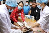 Bắc Giang: Tập huấn kỹ thuật chăn nuôi gia cầm an toàn sinh học
