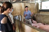 Yên Bái: Tập huấn về phòng chống dịch bệnh cho động vật trên cạn
