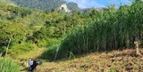 Truyền thông về hiệu quả các mô hình khuyến nông tại tỉnh Hà Giang