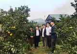 Diễn đàn Khuyến nông@ Nông nghiệp: Chuyển đổi số trong sản xuất nông nghiệp Hà Tĩnh