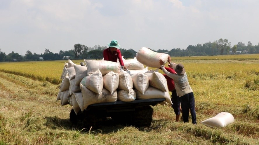 An Giang: Chi hội nông dân ấp Tân Lợi nỗ lực xây dựng nông thôn mới