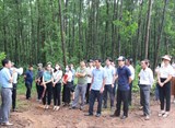 Quảng Trị: Diễn đàn Khuyến Nông @ Nông Nghiệp: Giải pháp phát triển vùng nguyên liệu gỗ phục vụ ngành công nghiệp chế biến, xuất khẩu