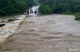 Nghệ An: Tập trung khắc phục hậu quả mưa lũ