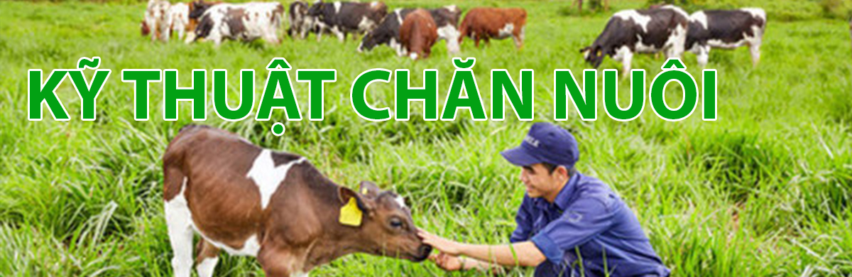 KỸ THUẬT CHĂN NUÔI