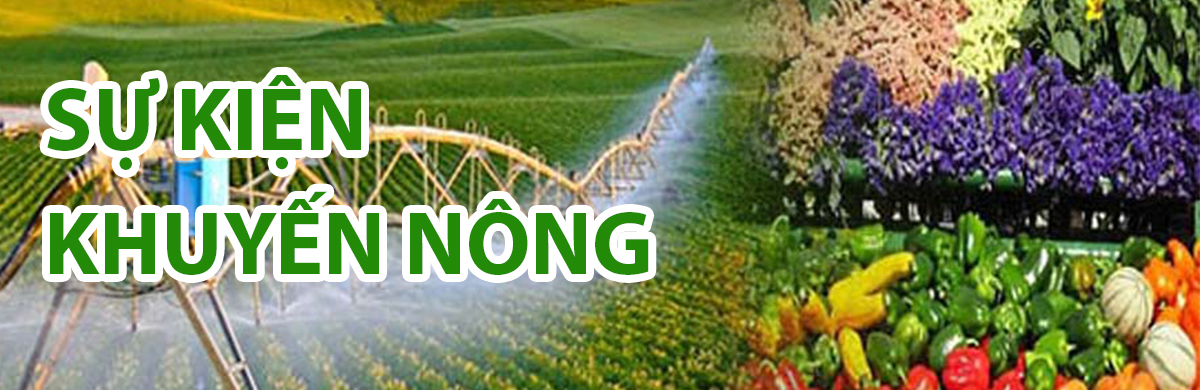 Sự kiện khuyến nông