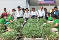 Hội thi “Kỹ thuật viên ghép cà chua giỏi tỉnh Lâm Đồng” năm 2022