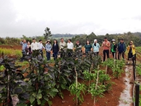 TP HCM Đưa nông dân tham quan mô hình sản xuất nông nghiệp hữu cơ có hiệu quả tại Kon Tum