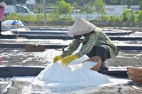 Cô gái đưa muối Sa Huỳnh vươn xa