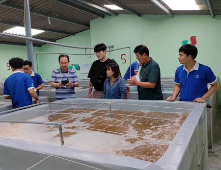 Ninh Thuận Tổng kết mô hình nuôi thương phẩm ốc hương 3 giai đoạn