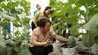 Bắc Ninh Tập huấn ứng dụng công nghệ thông tin trong sản xuất nông nghiệp