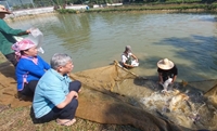 Người phụ nữ dân tộc Giáy trở thành tỷ phú từ sản xuất cá giống