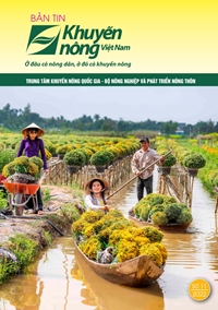 Bản tin Khuyến nông Việt Nam số 11 2022