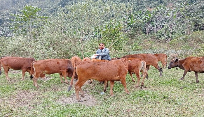 Những lưu ý khi xây dựng mô hình nông nghiệp khép kín nhà nông cần biết