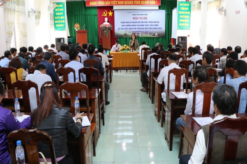 Quảng Ngãi Triển khai Kế hoạch phát triển đàn bò theo hướng nâng cao năng suất, sản lượng để sản xuất hàng hóa