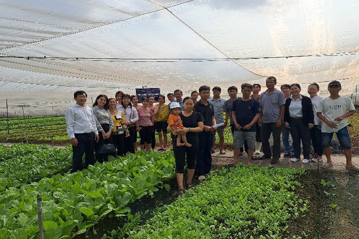 Mô hình trồng rau nhút mùa nghịch Cái bè cho thu nhập 3 triệu đồngcông   Đài Phát thanh  Truyền hình Tiền Giang