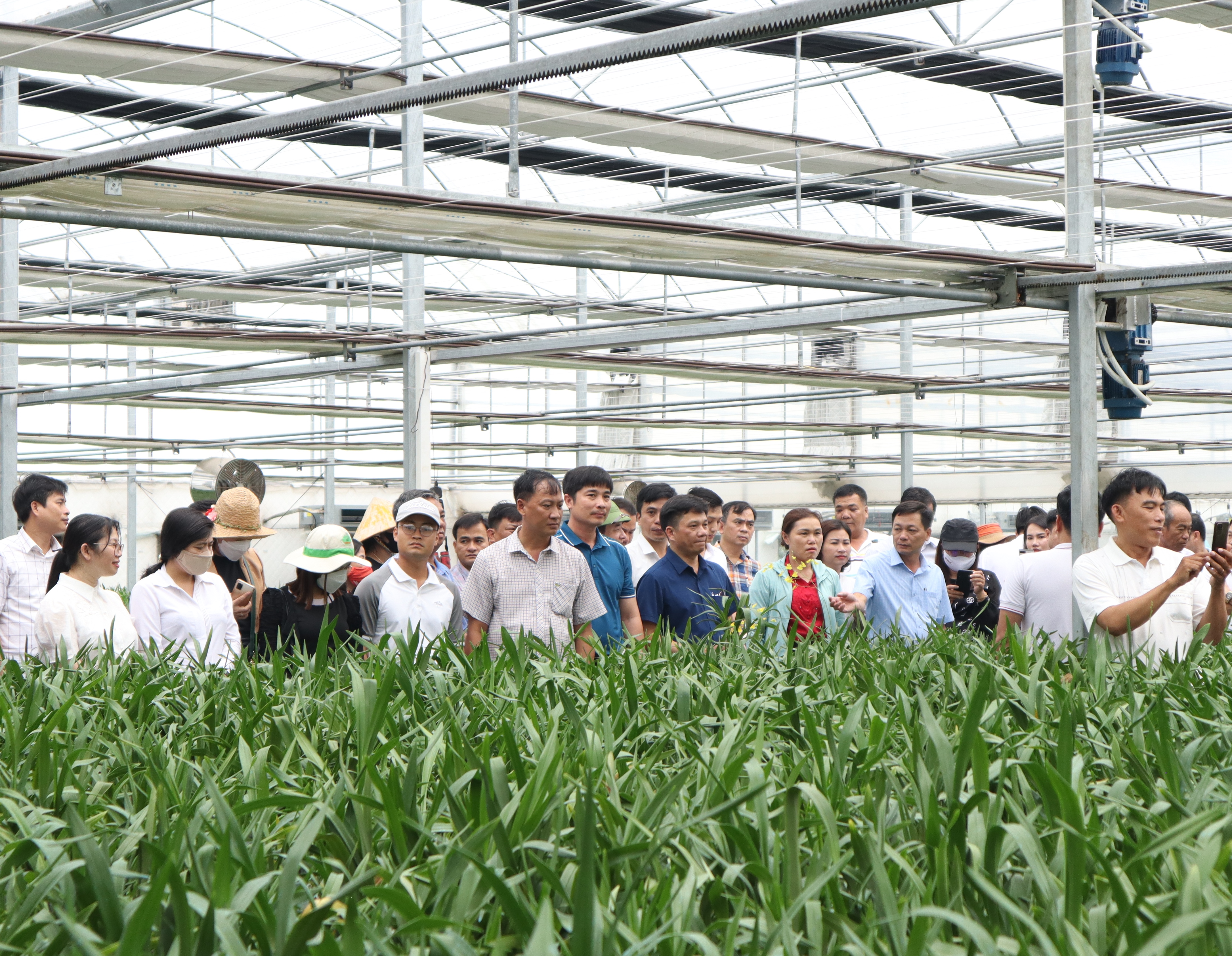 Hội thảo “Giải pháp thúc đẩy chuyển đổi số trong nông nghiệp”