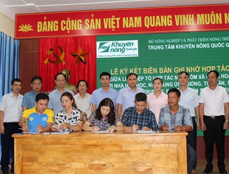Triển khai mô hình nuôi tôm công nghiệp quy mô nhỏ - Liên kết hợp tác theo chuỗi giá trị tại tỉnh Quảng Ninh