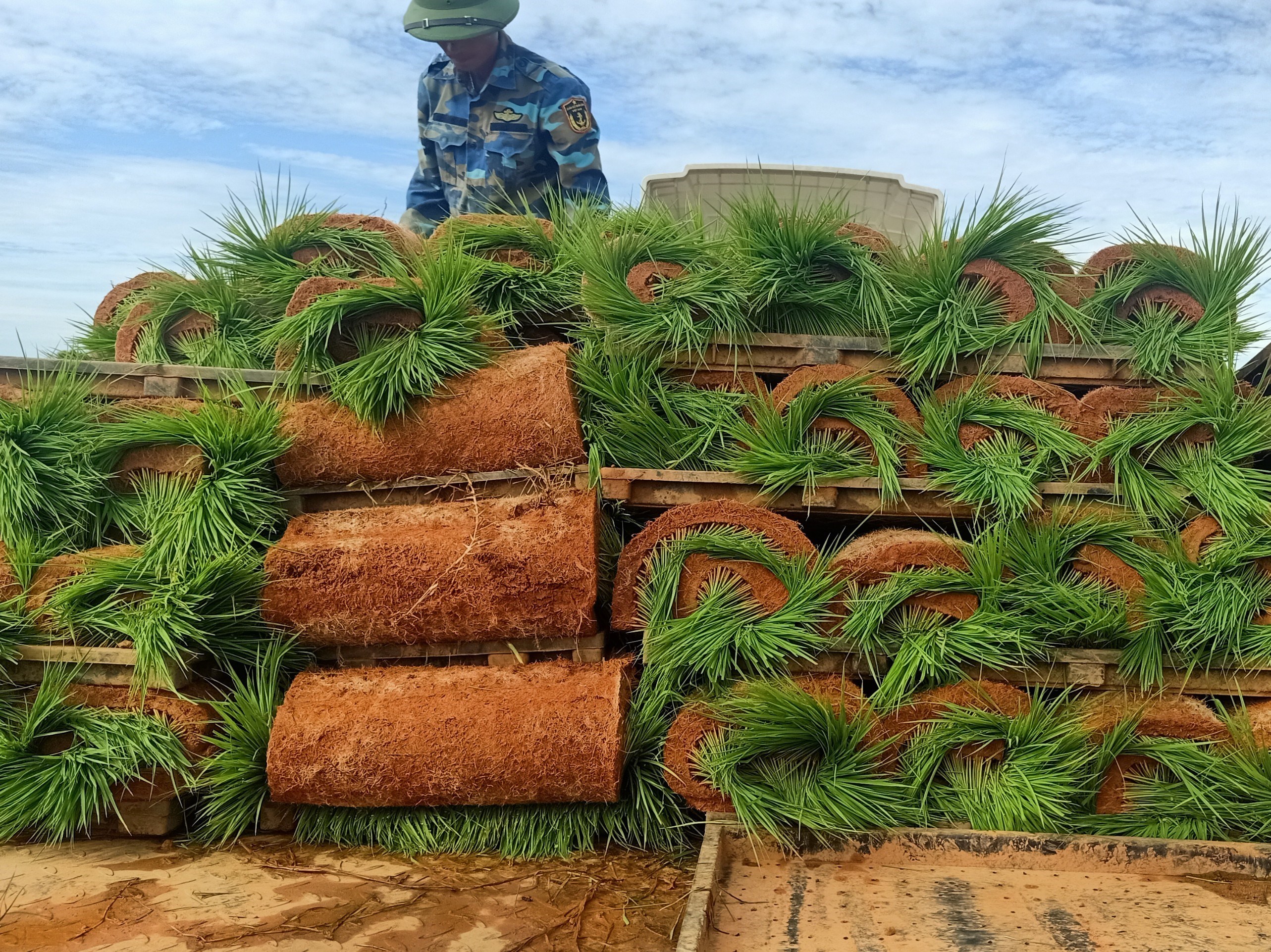 Hà Tĩnh Áp dụng thí điểm mạ khay, cấy máy sản xuất lúa theo hướng hữu cơ