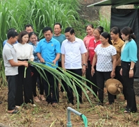 Thái Nguyên Diễn đàn Khuyến nông  Nông nghiệp chủ đề “Giải pháp phát triển chăn nuôi tuần hoàn gắn với liên kết tiêu thụ sản phẩm”