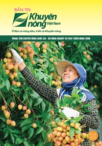 Bản tin Khuyến nông Việt Nam số 2 -2023