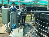 Thu gom, xử lý chất thải tuần hoàn nước Giải pháp hiệu quả bảo vệ môi trường trong nuôi tôm siêu thâm canh