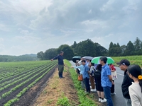 Học tập kinh nghiệm về thúc đẩy cây trồng an toàn tại Nhật Bản