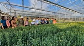 Lâm Đồng Diễn đàn Khuyến nông  Nông nghiệp chủ đề  Bàn giải pháp phát triển nông nghiệp hữu cơ, tuần hoàn gắn với bảo vệ môi trường và đa dạng sinh học