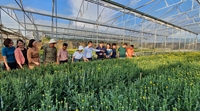 Lâm Đồng Diễn đàn Khuyến nông  Nông nghiệp chủ đề  Bàn giải pháp phát triển nông nghiệp hữu cơ, tuần hoàn gắn với bảo vệ môi trường và đa dạng sinh học