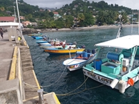 Hợp tác công tư để duy trì chuỗi giá trị cá ngừ ở Grenada