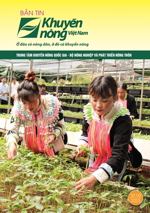 Bản tin Khuyến nông Việt Nam số 3-2023