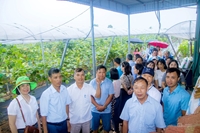 Nam Định Tập huấn kiến thức về kinh tế tuần hoàn và sử dụng công nghệ thông tin trong quảng bá lưu thông sản phẩm nông nghiệp